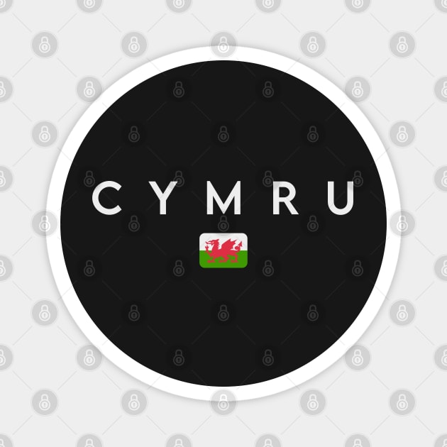 Wales flag, welsh flag Magnet by eka123